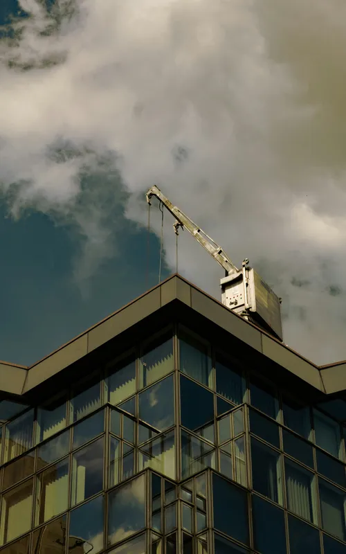 Sarah Johnson portrait